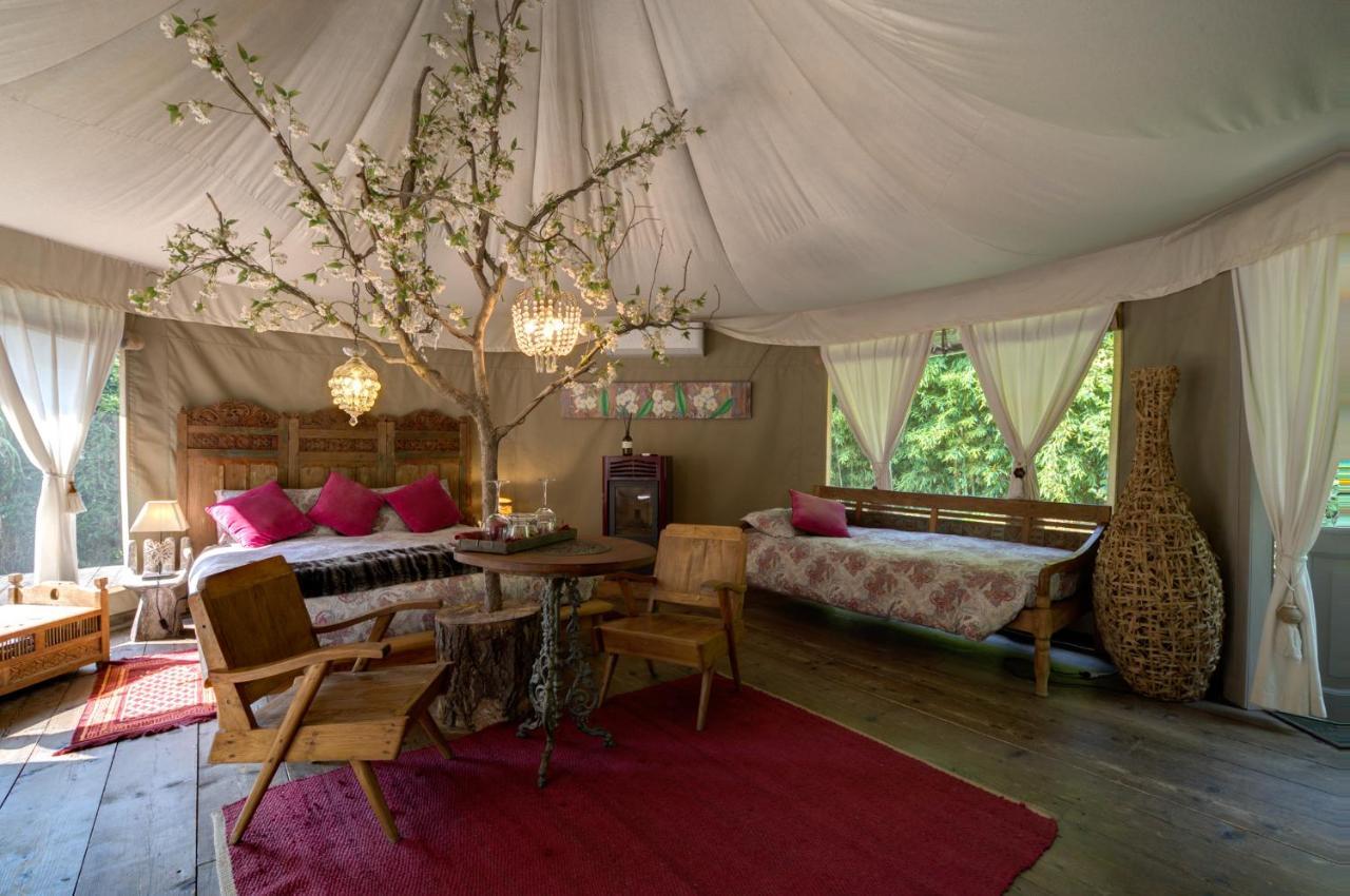 Glamping Canonici Di San Marco Mirano Extérieur photo