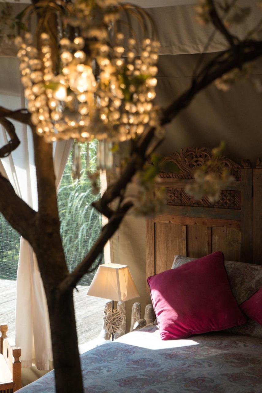 Glamping Canonici Di San Marco Mirano Extérieur photo